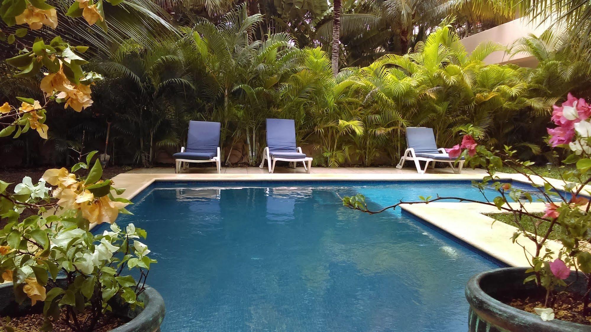 Villas Picalu Lodge Puerto Aventuras Zewnętrze zdjęcie